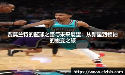 jn江南·体育登录入口